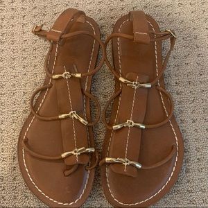 Brown Bernardo Sandals with gold buckle